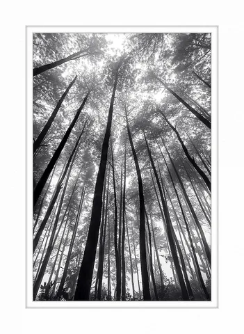 Bogor II-Indonesia