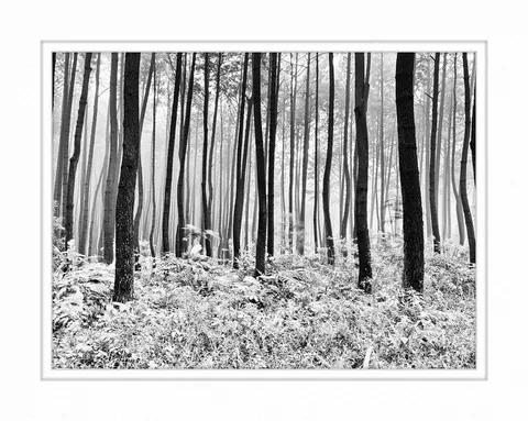 Bogor-Indonesia