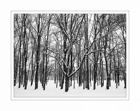 kiev II-Ukraine