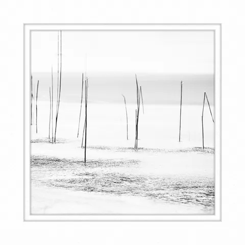 Sticks by the frost lake  ,Scotland